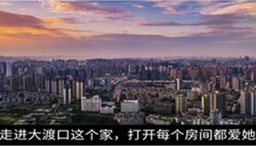 2022大渡口之声app手机版