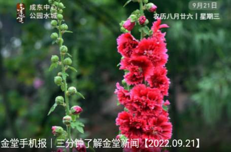 金堂发布app官方版 金堂发布app官方版