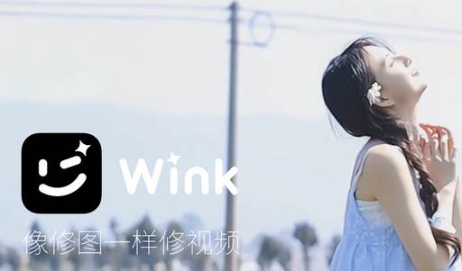 Meitu Wink视频修图器会员版 Meitu Wink视频修图器会员版