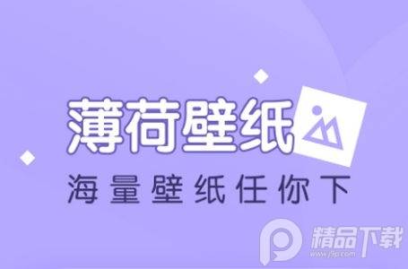 薄荷壁纸app官方版 薄荷壁纸app官方版