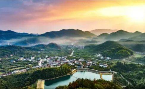 龙港在线app官方版