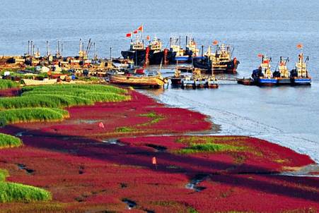 营口行app下载安装