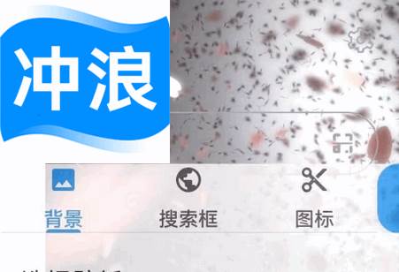 冲浪app官方最新版