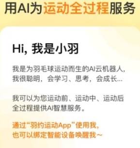 羽约运动 羽约运动