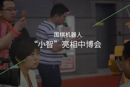 隐智围棋app官方版