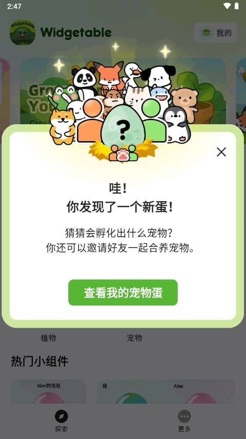 情侣宠物小组件专业版(Widgetable pro)