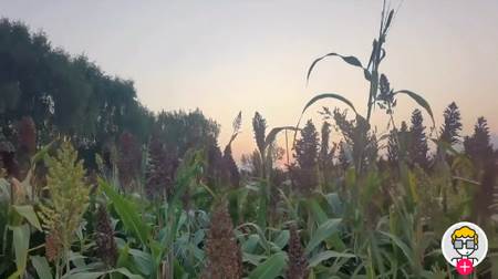 潮新闻app手机版 潮新闻app手机版