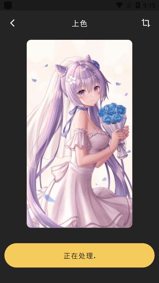 Colorizer老照片修复app专业版