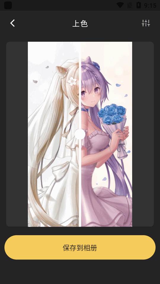 Colorizer老照片修复app专业版