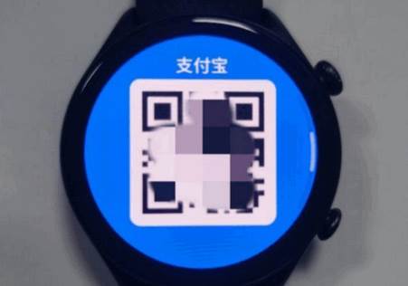 支付宝手表版客户端apk 支付宝手表版客户端apk