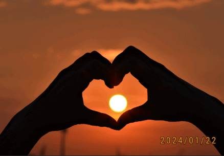 ProCCD复古相机app国际版 ProCCD复古相机app国际版