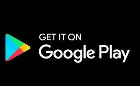 Google Play商店兼容版(google play store) Google Play商店兼容版(google play store)