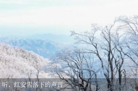 最红安手机客户端 最红安手机客户端