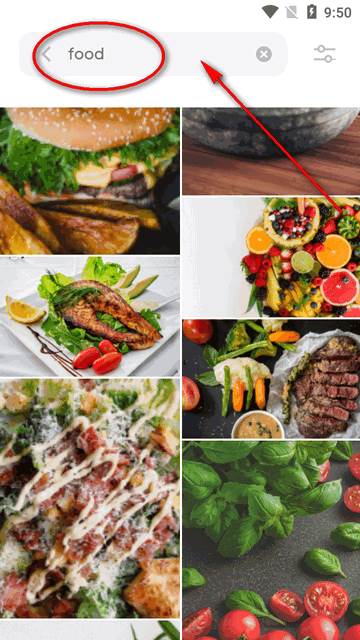 Pexels视频素材app最新版 Pexels视频素材app最新版