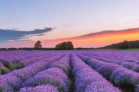 小宝快跑壁纸APP最新版