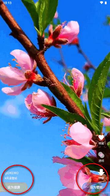 全民免费壁纸软件最新版 全民免费壁纸软件最新版