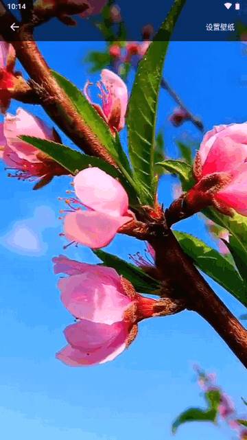 全民免费壁纸软件最新版 全民免费壁纸软件最新版