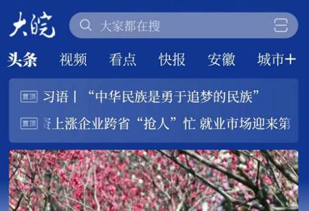 大皖新闻手机客户端 大皖新闻手机客户端