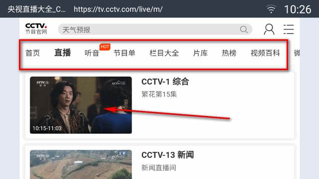 飞视浏览器TV版apk