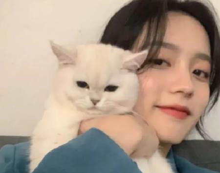 主题壁纸show app 主题壁纸show app