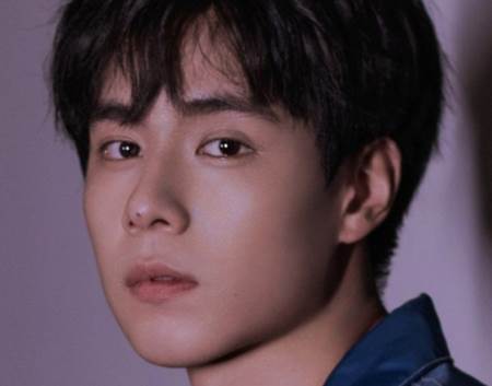 龙承壁纸app 龙承壁纸app