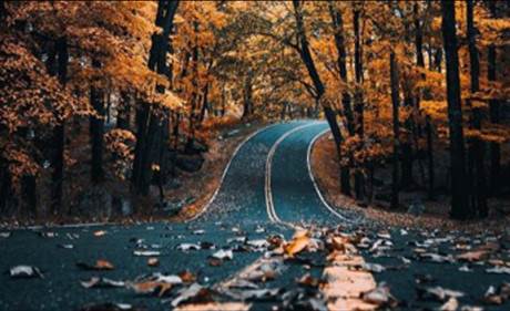 别克行车智拍软件