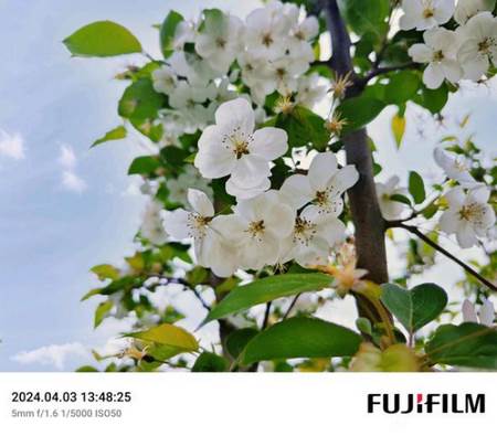 谷歌相机75合1安装包最新版 谷歌相机75合1安装包最新版