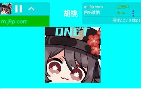 胡桃弱网内置参数版