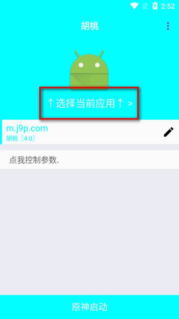 胡桃弱网内置参数版