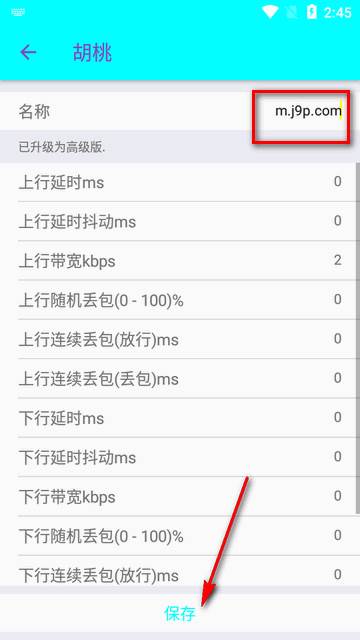 胡桃弱网内置参数版