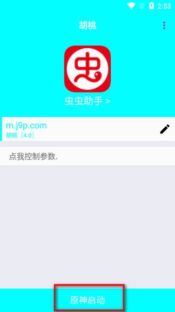 胡桃弱网内置参数版