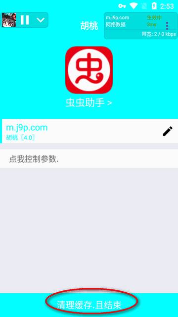 胡桃弱网内置参数版