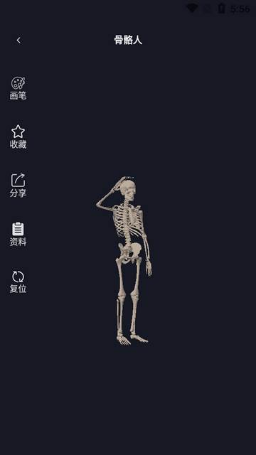 3D速写模型app官方版