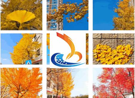 马龙融媒app官方版