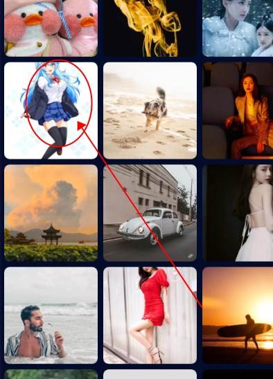 番茄动态壁纸app安卓版