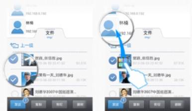 飞鸽传书app安卓版