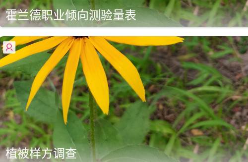 数图田调安卓app 数图田调安卓app