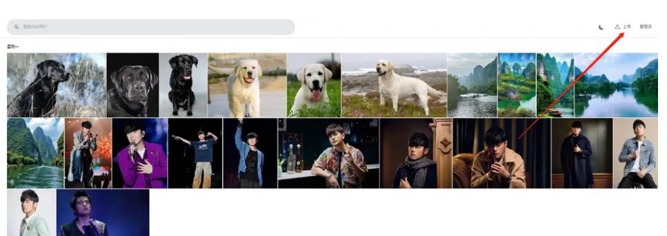 Immich安卓app Immich安卓app