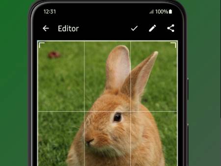 Fossify Gallery图库工具 Fossify Gallery图库工具