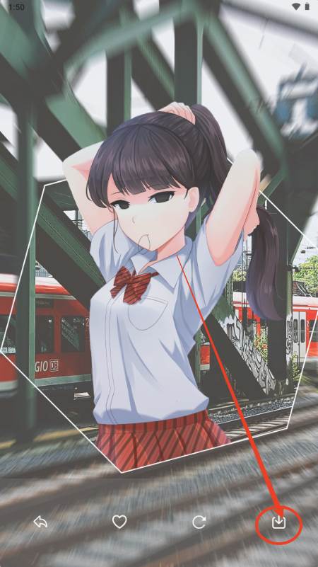 二次元壁纸集app