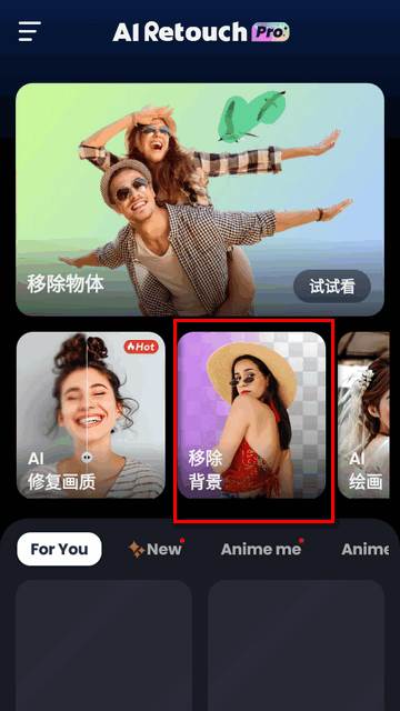 AI Retouch移除杂物软件