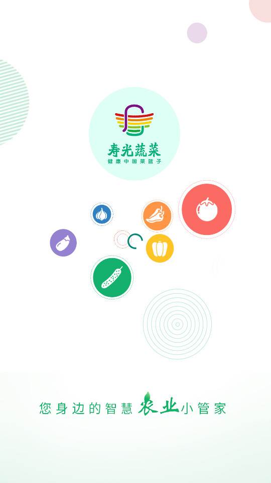 寿光蔬菜 寿光蔬菜