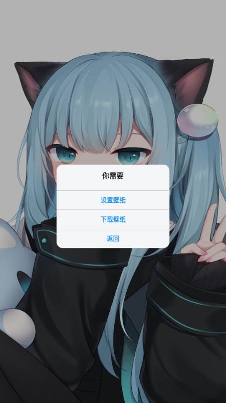 壁纸君app动态壁纸