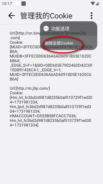 星际浏览器增强版(ROAM MARS )