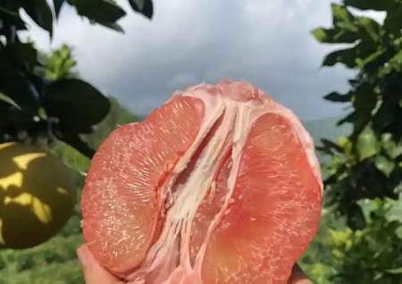 供销盒子app官方版 供销盒子app官方版