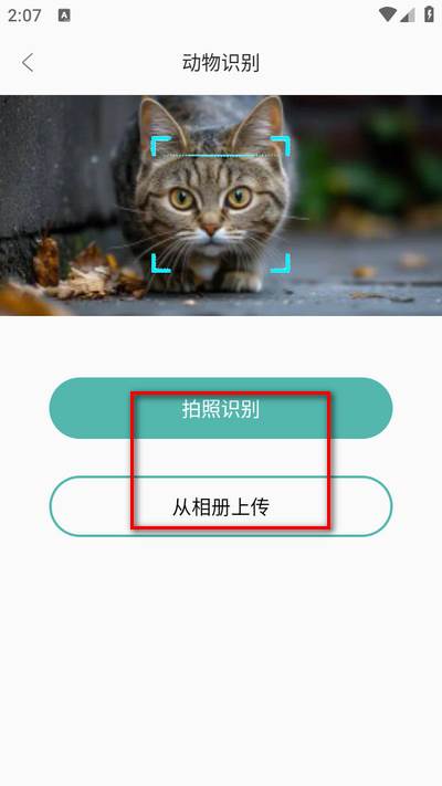 识图达人app手机版