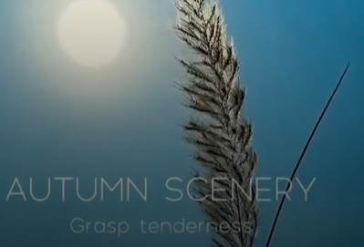 实况live动图相机 实况live动图相机