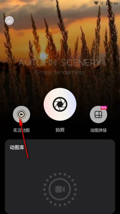 实况live动图相机 实况live动图相机