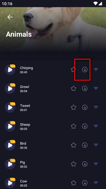 MP3转换编辑器专业免费版 MP3转换编辑器专业免费版