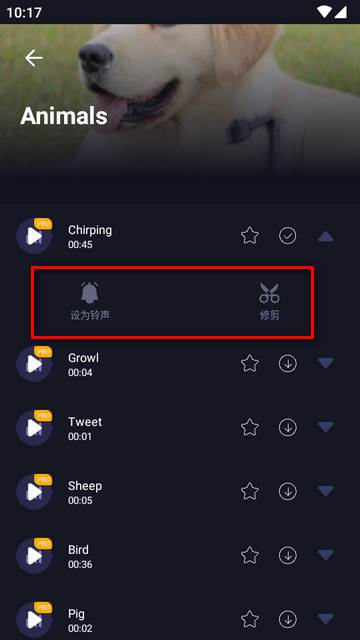 MP3转换编辑器专业免费版 MP3转换编辑器专业免费版